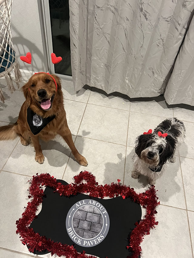 D1516A15-FC6E-4E53-9E50-7DAA8EFFFF13 copy